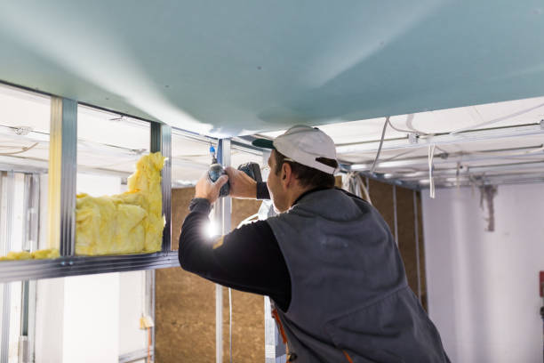Best Insulation Materials and Products in Argyle, TX