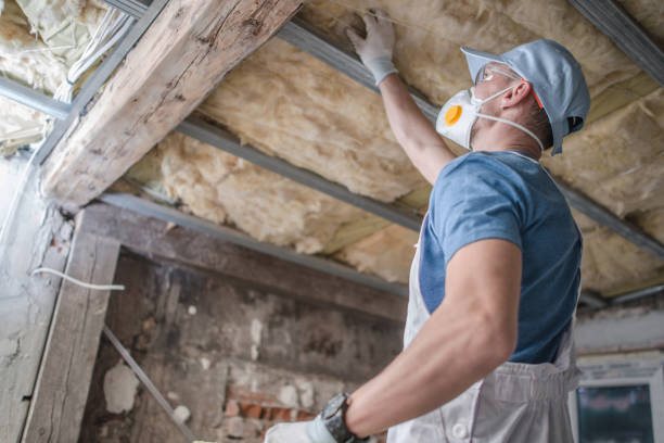 Best Insulation Installation Services in Argyle, TX