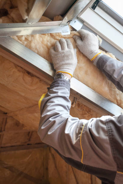 Best Insulation Maintenance and Repair in Argyle, TX